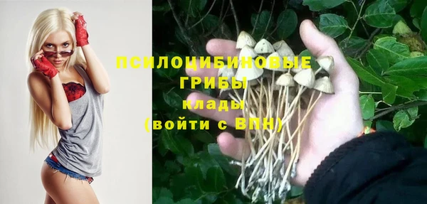 PSILOCYBIN Бугульма